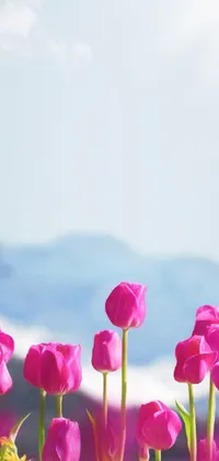 This beautiful phone live wallpaper showcases a serene field of pink tulips set against a majestic mountain backdrop