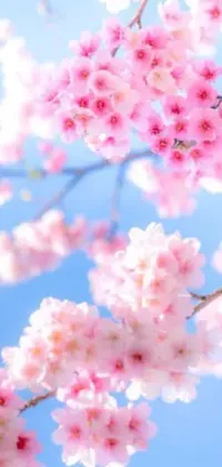 This live wallpaper for your phone showcases a stunning digital rendering of a beautiful tree with gorgeous pink flowers set against a clear, blue sky, perfect for adding a touch of nature to your device