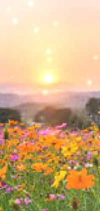 spring Live Wallpaper