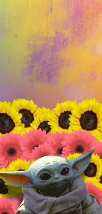 Flower Plant Sunflower Live Wallpaper