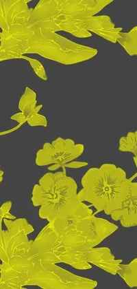 Flower Plant Text Live Wallpaper