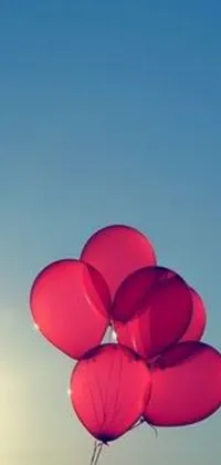 Bring a touch of whimsy to your phone's background with this lively live wallpaper! It showcases a scene of several vibrant red balloons, held by an unseen individual