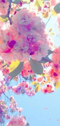This live wallpaper features a pink flower tree with an Instagram filter in the background, alongside blue and pink skies with the sun shining