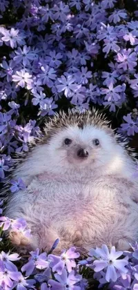 This phone live wallpaper showcases a colorful and cute illustration of a hedgehog surrounded by purple flowers, hearts, and emojis
