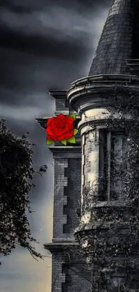 This phone live wallpaper showcases a beautiful black and white image of a gothic tower featuring a red rose atop