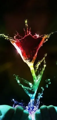 This live phone wallpaper depicts a vivid, multi-colored flower held by a person