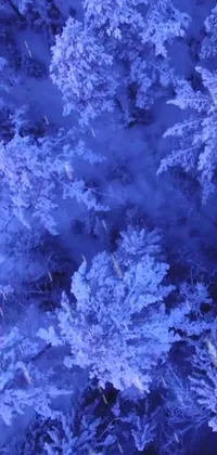 This phone live wallpaper showcases a stunning bird's eye view of a snow-covered forest
