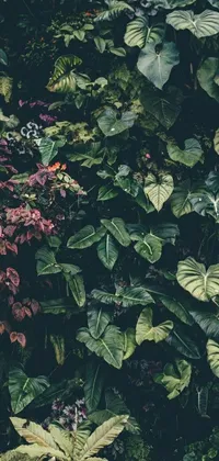 This live phone wallpaper features a collection of lush green plants in a deep jungle texture