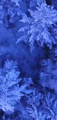 This phone live wallpaper offers a stunning aerial view of a snow-covered forest during winter