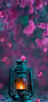 Enhance your phone's display with this captivating live wallpaper featuring a warm and serene setting complete with a lantern on a wooden table amidst a field of lovely pink flowers