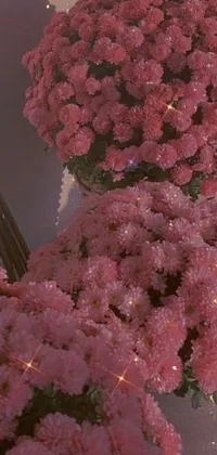 This stunning phone live wallpaper showcases beautiful pink flowers arranged on a vintage album cover with glitter accents