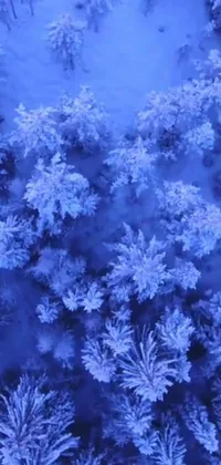 This phone live wallpaper depicts a beautiful snowy forest from a bird&#39;s-eye view