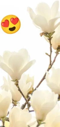 This lively phone live wallpaper displays a vivid close-up image of a magnolia flower with a radiant smiley face emblazoned on one of its petals