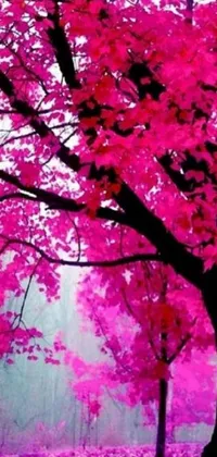 This live wallpaper is an anime-inspired nature artwork featuring a stunning pink tree in a green field