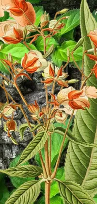 This live phone wallpaper features an exquisite hand-painted image of a plant with orange flowers and green leaves, set against a textured rock wall and background