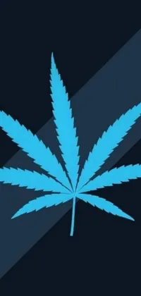 Get a bold and eye-catching live wallpaper for your phone! Our blue marijuana leaf design against a black background is inspired by stylized infographics and logos, resulting in a striking effect