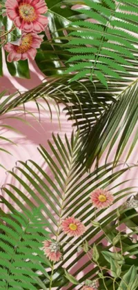 This phone live wallpaper features a captivating display of photorealism, showcasing palm leaves and pink flowers against a soft pink wall