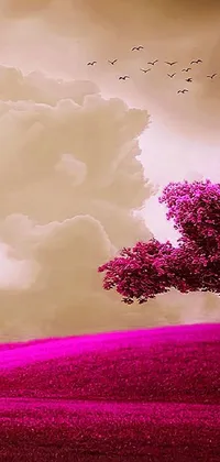 This stunning phone live wallpaper features a delightful pink tree set against a backdrop of lush green hills