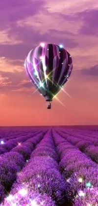 This phone live wallpaper displays a hot air balloon soaring over a picturesque lavender field