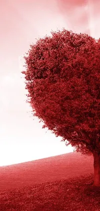 This stunning live wallpaper depicts a lovely heart shaped tree, nestled in a peaceful field