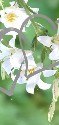 This mobile live wallpaper presents a beautiful hummingbird flying next to a white flower