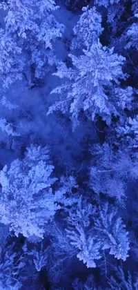 This live wallpaper displays a snowy forest scene with trees covered in snow