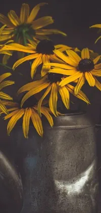 This live wallpaper features a metal watering can brimming with sunflowers