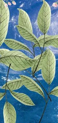 This phone live wallpaper features a beautiful painting of green leaves against a blue sky, designed by an environmental artist