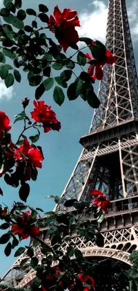 Looking for a beautiful live wallpaper to add some flair to your phone's screen? Check out this stunning Eiffel Tower phone wallpaper, featuring a photo of the iconic Parisian landmark surrounded by a ring of red roses