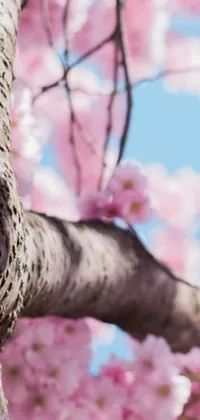 This phone live wallpaper showcases a hyper-realistic tree with pink flowers