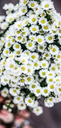 This phone live wallpaper features a stunning bouquet of white flowers captured by a skilled photographer