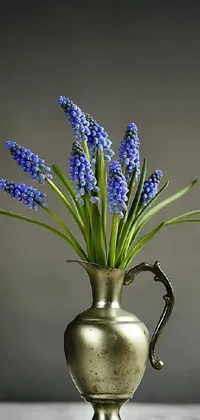 Get mesmerized by this phone live wallpaper featuring a realistic image of a vase filled with enchanting grape hyacinth flowers resting on a shiny silver table