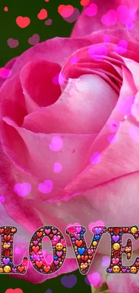 #love Live Wallpaper