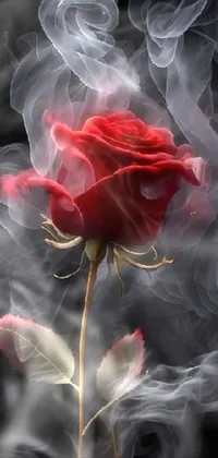 Experience the captivating beauty of this phone live wallpaper featuring a vivid red rose wrapped in a swirling cloud of smoke