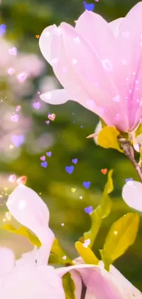This phone live wallpaper features a stunning flower close-up with floating hearts and magical leafs