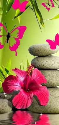 Flower Plant Water Live Wallpaper