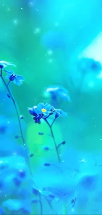 Flower Plant Water Live Wallpaper