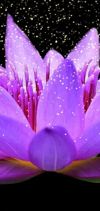 This mesmerizing live wallpaper showcases an exquisitely composed image of a purple flower set against an obsidian backdrop