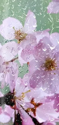 Flower Plant Water Live Wallpaper