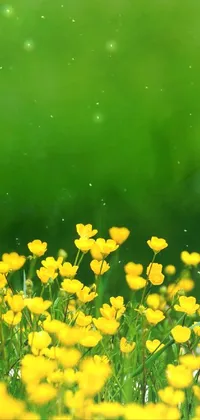 Experience the freshness of spring with this stunning phone live wallpaper