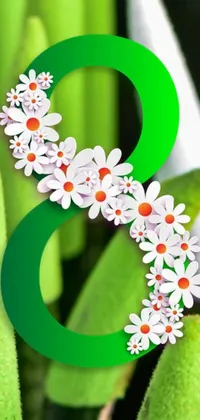 Flower Plant Wheel Live Wallpaper