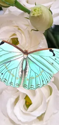 This phone live wallpaper features a beautiful blue butterfly perched on a white flower amidst a seafoam green and pearl-colored orchid