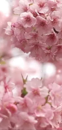 This live wallpaper showcases a beautiful close-up of pink flowers