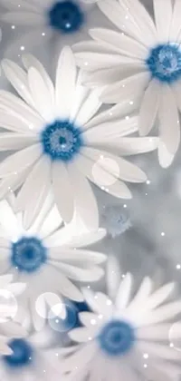 Flower Plant White Live Wallpaper