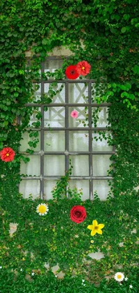 Flower Plant Window Live Wallpaper