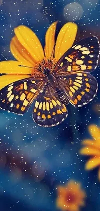 Flower Pollinator Butterfly Live Wallpaper