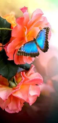 Bring your phone screen to life with this stunning live wallpaper featuring a close up of a beautiful flower with a graceful butterfly resting on its petal