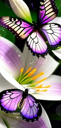 purple butterflies on a white lily Live Wallpaper