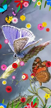 Flower Pollinator Insect Live Wallpaper