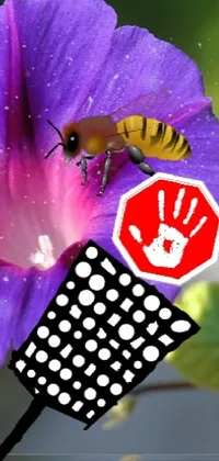 bee Live Wallpaper